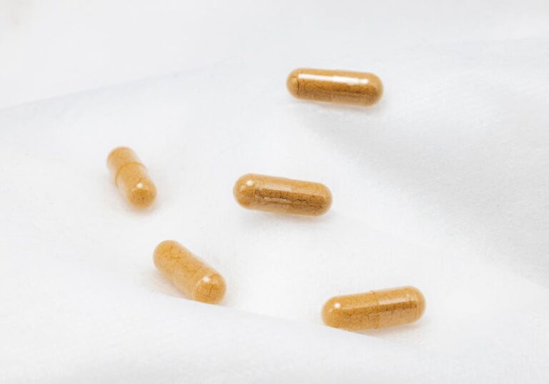 lion's mane mushroom capsules review